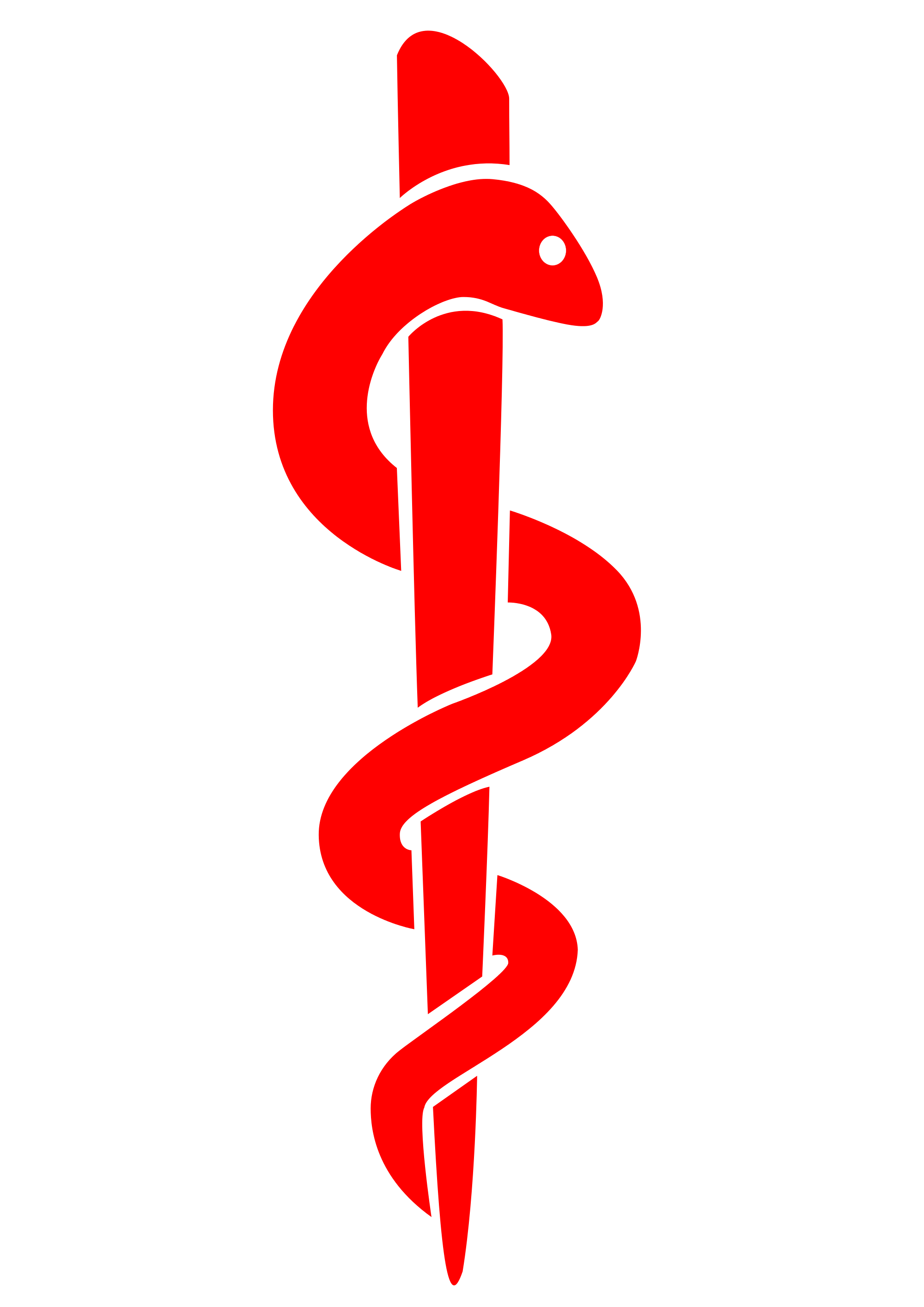 logo infirmier